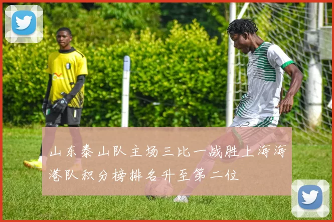 山东泰山队主场三比一战胜上海海港队积分榜排名升至第二位