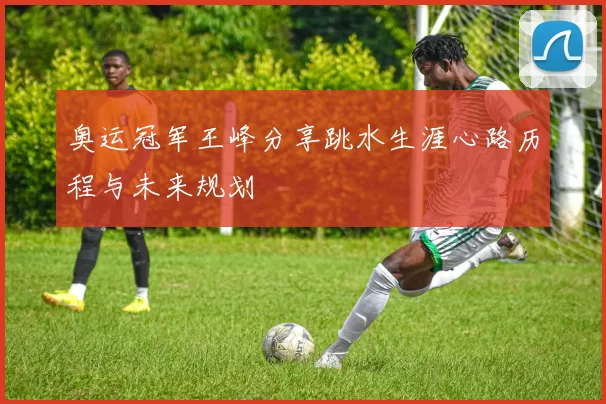 奥运冠军王峰分享跳水生涯心路历程与未来规划