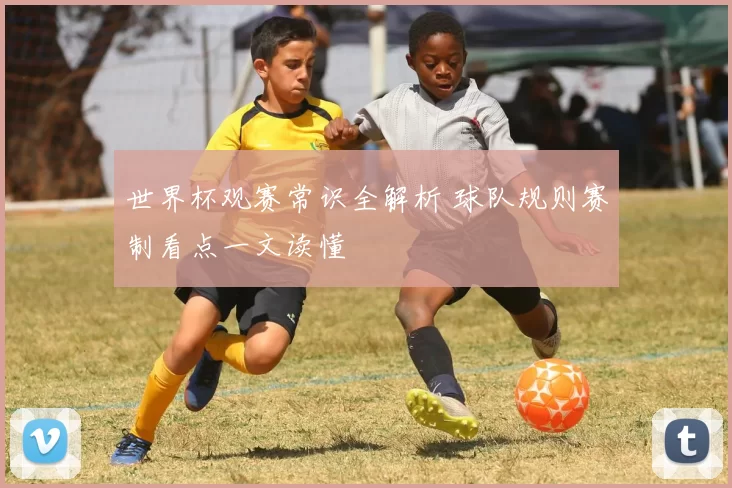 世界杯观赛常识全解析 球队规则赛制看点一文读懂